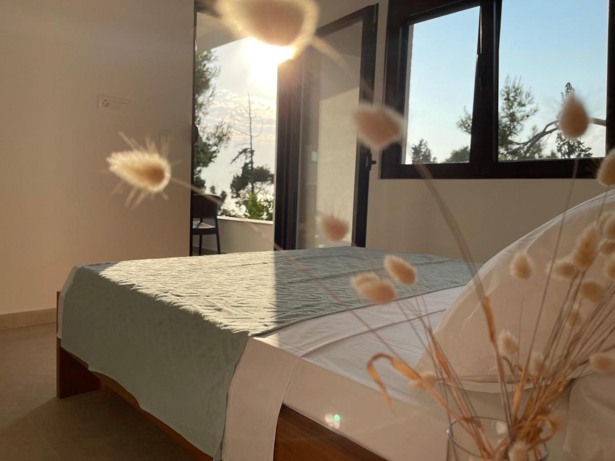 Zia Apartments Бар Экстерьер фото